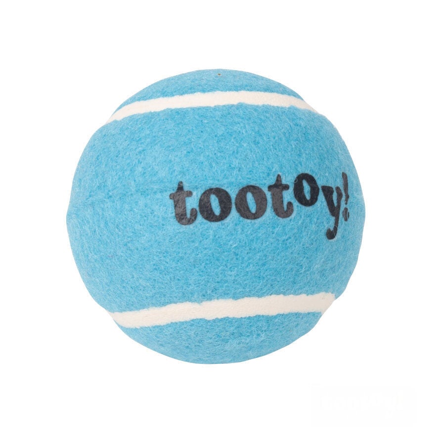 Tootoy! Chase Squeaker Ball Azul pelota de tenis para perros thumbnail