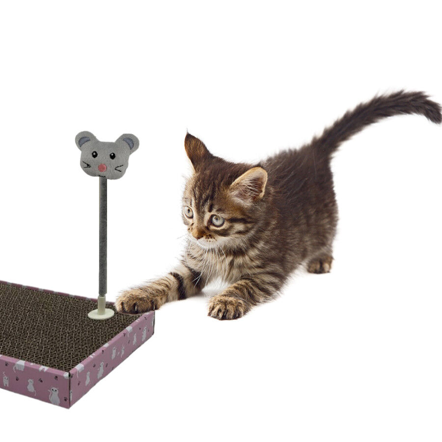 Leeby Babette juguete ratón para rascador de gatos