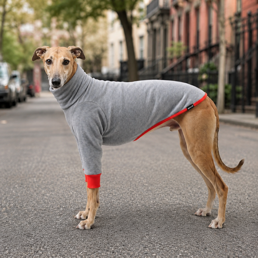 Gotoo Sudadera Gris para galgos, , large Imagen numero 1