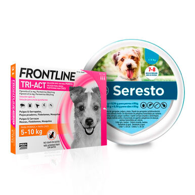 Bayer Seresto Collar Antiparasitario <8 Kg y Pipetas Frontline Tri-Act 5-10Kg para perros - Pack 