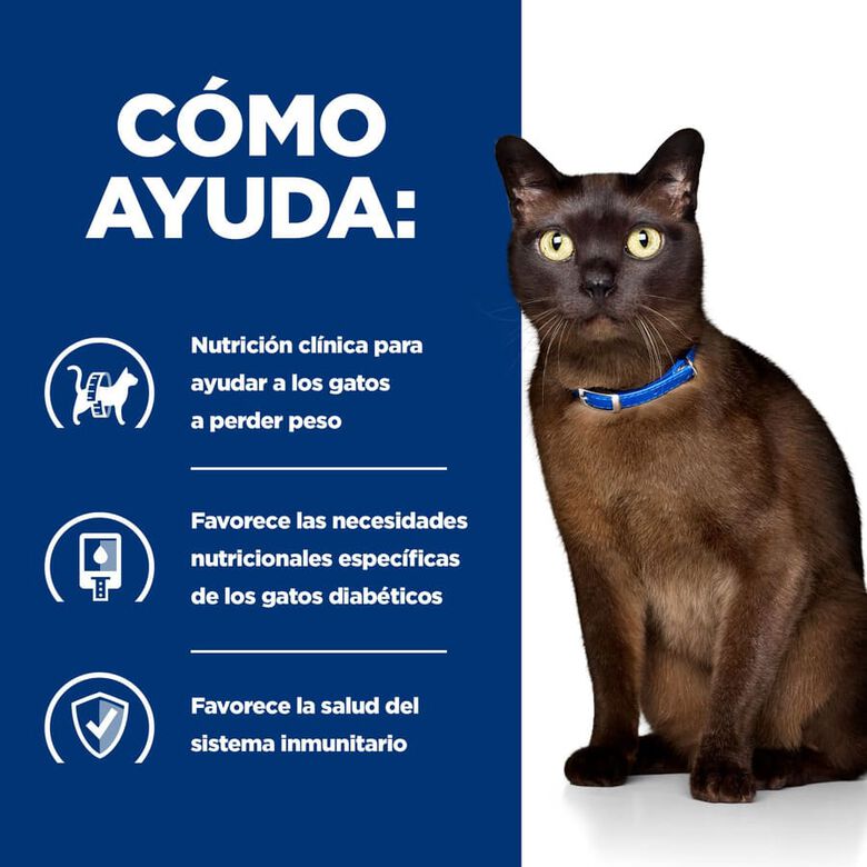 Hill&#039;s Prescription Diet Diabetes care Pollo pienso para gatos thumbnail