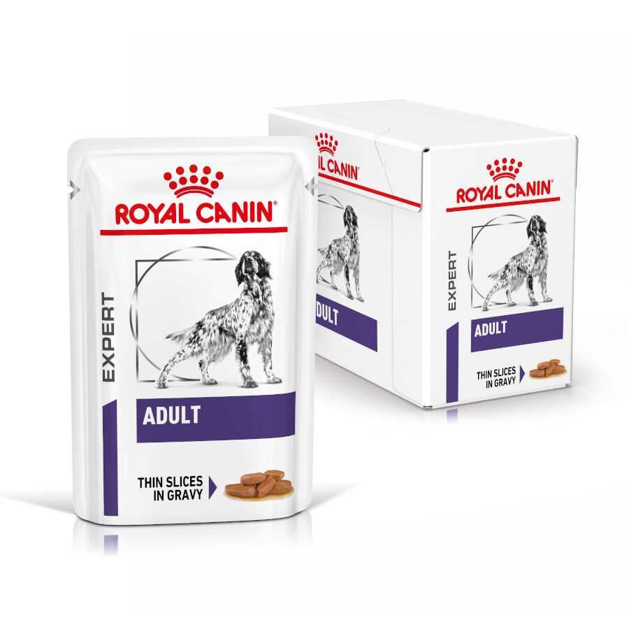 12 sobres x 100 g Royal Canin Expert Adult Sobre en Salsa para perros, , large Imagen numero 2