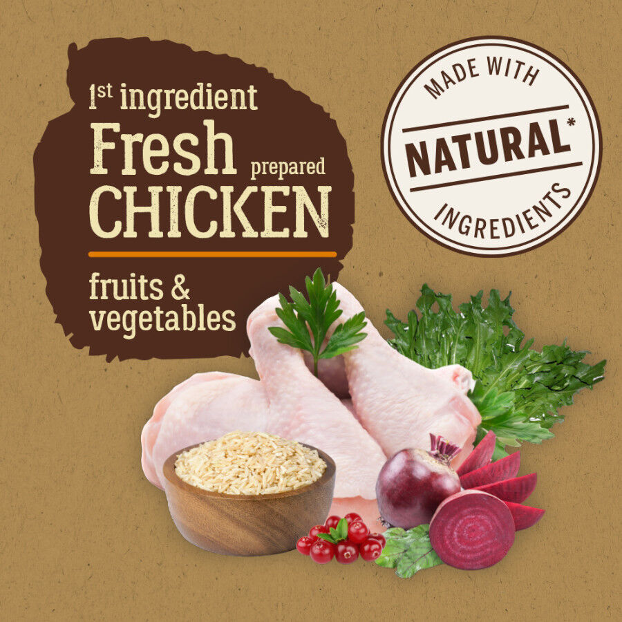 True Origins Pure Kitten Poultry Pollo pienso para gatos thumbnail