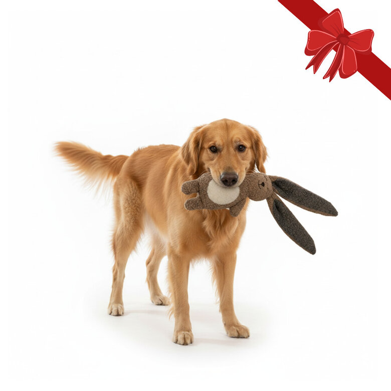 Wonder Christmas Peluche Conejo Navideño para perros,  Imagen numero 1 Wonder Christmas Peluche Conejo Navideño para perros, , large Imagen numero 1