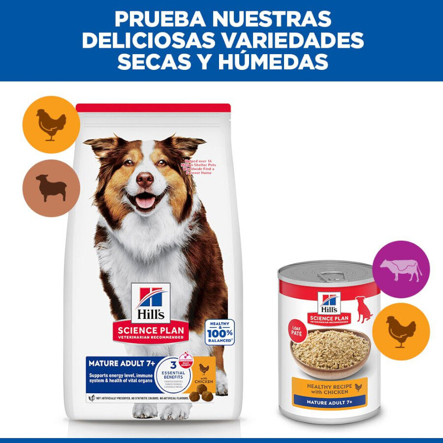 Hill&#039;s Science Plan Mature Adult Medium pienso pollo para perros de razas medianas thumbnail