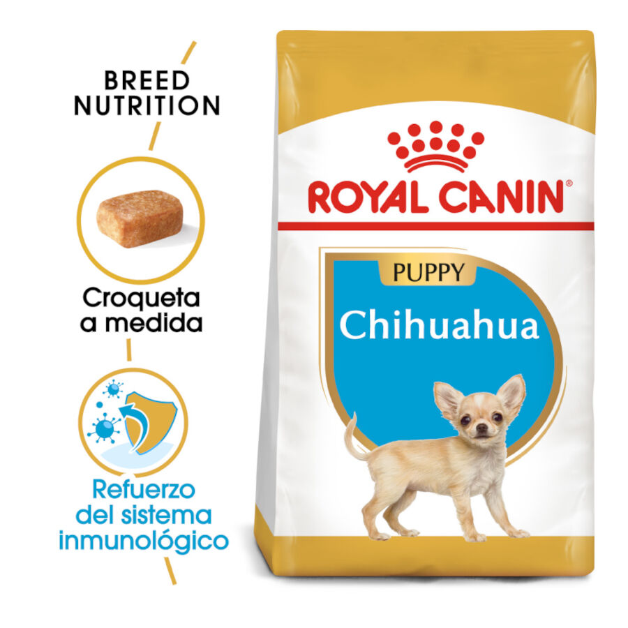 500 g Royal Canin Puppy Chihuahua pienso para cachorros, , large Imagen numero 2