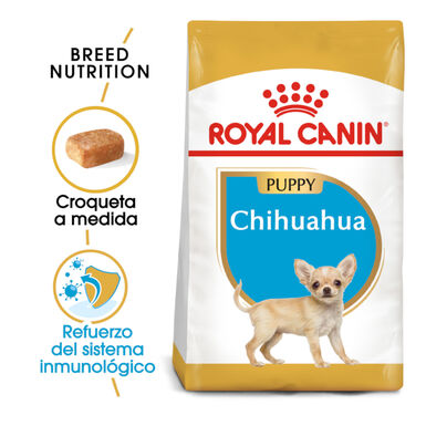 Royal Canin Puppy Chihuahua pienso para perros