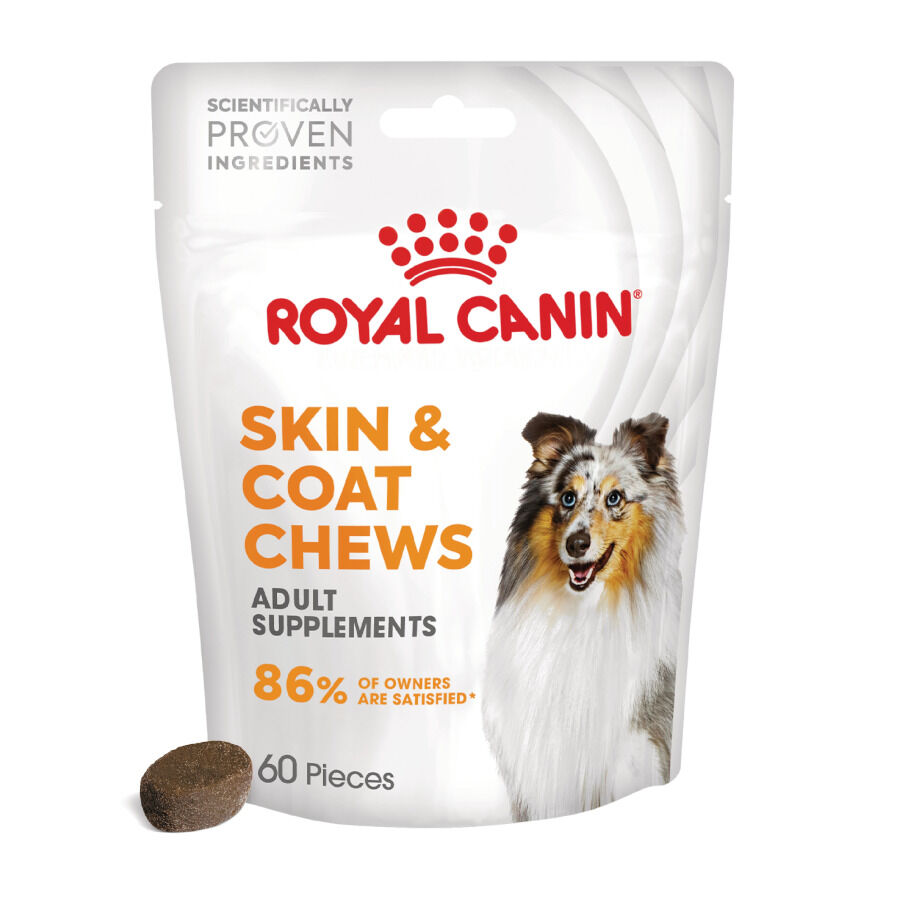 Royal Canin Skin & Coat Chews Adult Suplemento nutricional para perros