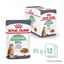 85 g Royal Canin Digestive Sensitive sobre para gatos, , large indicador imagen numero 3