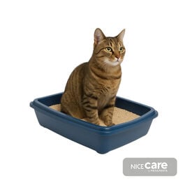 Nice Care Bandeja Sanitaria Azul para gatos