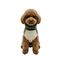Gotoo Jersey Polar Verde para perros, , large indicador imagen numero 7