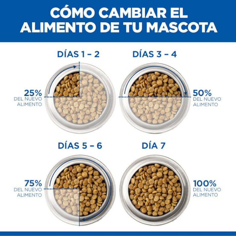 12 kg Hill's Science Plan Perfect Weight Adult Medium Pollo pienso para perros,  Imagen numero 4 12 kg Hill's Science Plan Perfect Weight Adult Medium Pollo pienso para perros, , large Imagen numero 4