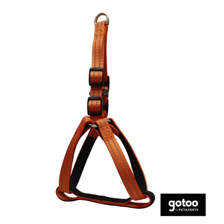 Gotoo Arnés reflectante de neopreno naranja para perros,  Imagen numero 2 Gotoo Arnés reflectante de neopreno naranja para perros, , large Imagen numero 2