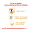 12 kg Royal Canin Adult Labrador Retriever pienso para perros, , large indicador imagen numero 6