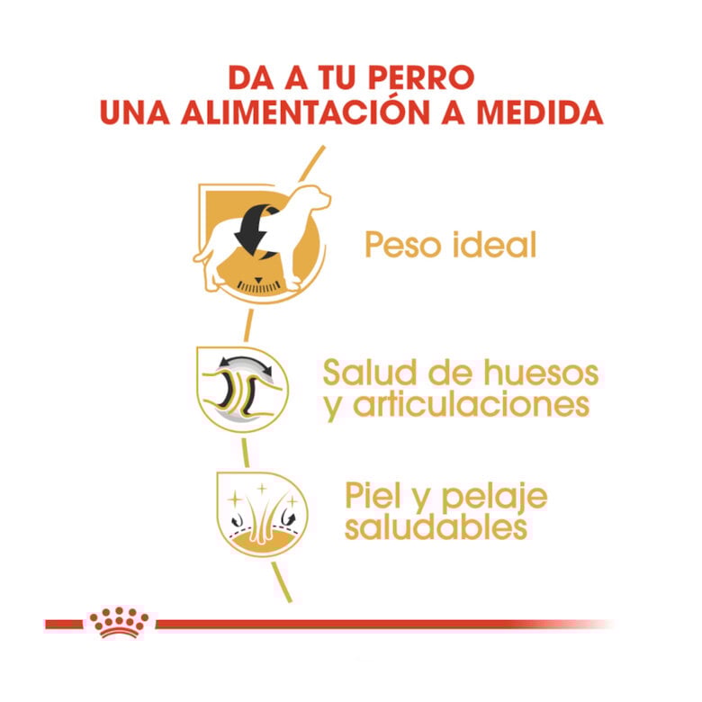 12 kg Royal Canin Adult Labrador Retriever pienso para perros,  Imagen numero 6 12 kg Royal Canin Adult Labrador Retriever pienso para perros, , large Imagen numero 6