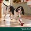 Wonder Christmas Cuerda y Cascabel Juguete para perros, , large indicador imagen numero 2