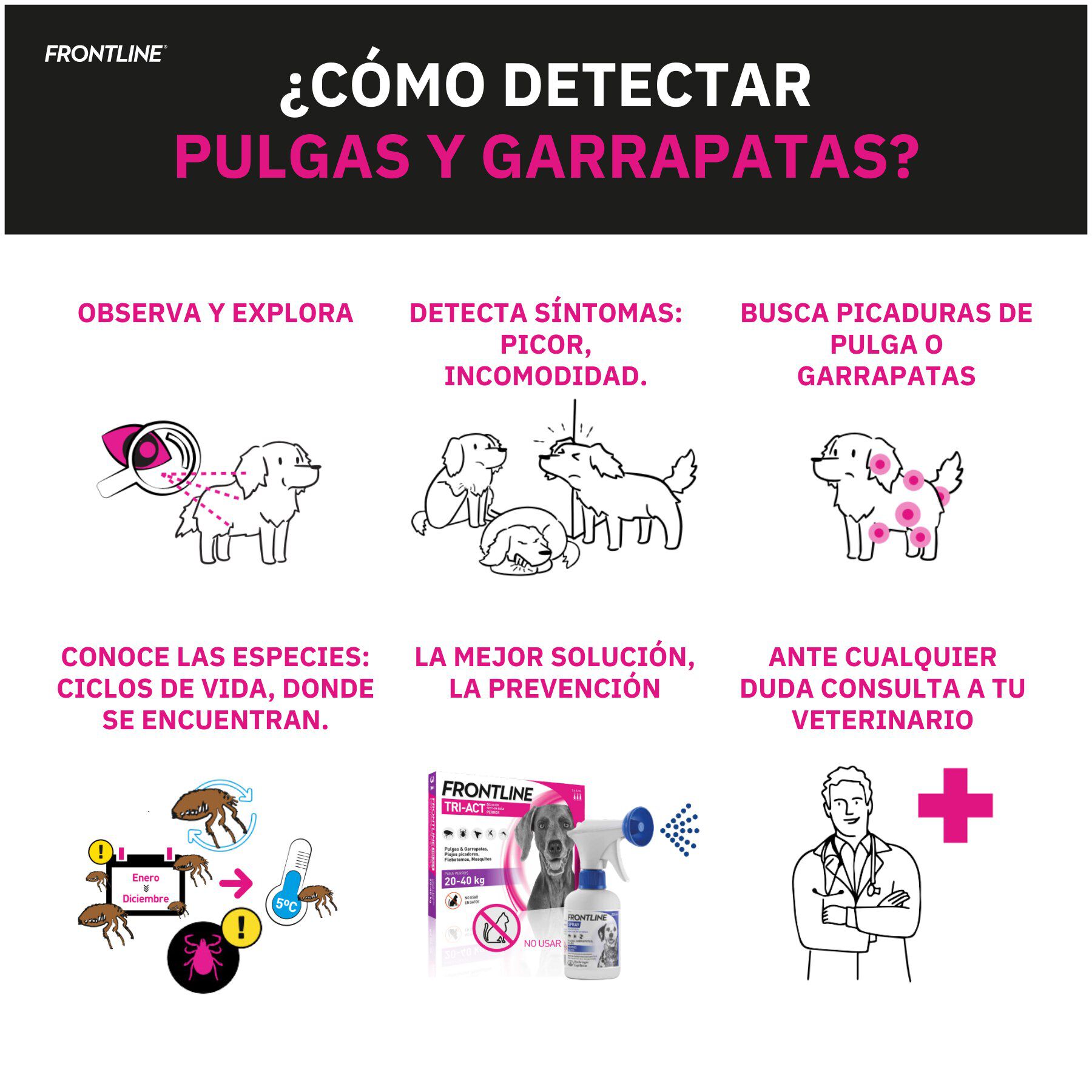 Frontline Spray Antiparasitario para perros y gatos thumbnail