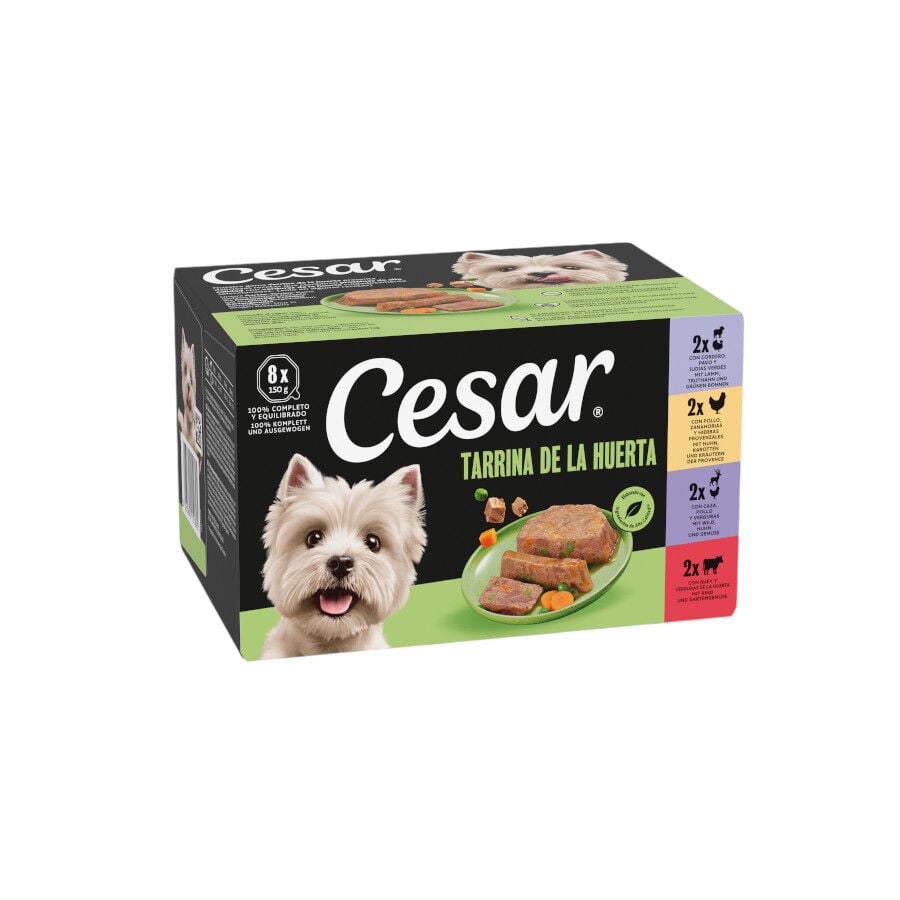 8 tarrinas x 150 g Cesar Recetas de la huerta Tarrina en Pat&eacute; y Gelatina para Perros , , large Imagen numero 1