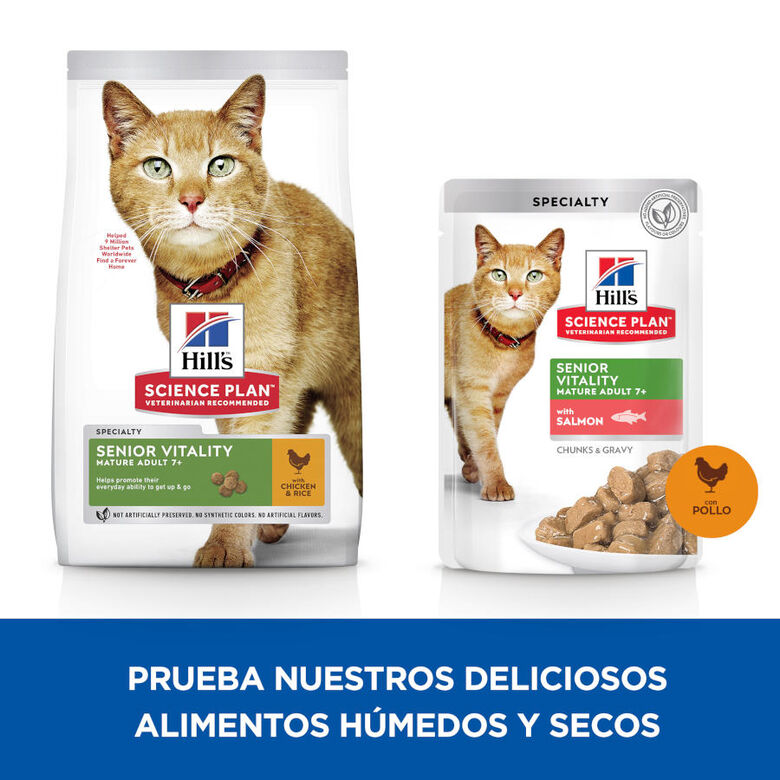 Hill&#039;s Science Plan Senior Vitality Pollo y Salmón Sobre en salsa para gatos thumbnail