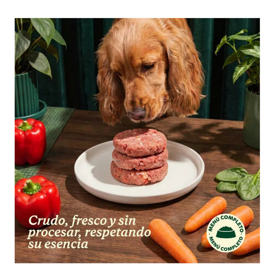 2.5 kg Wild Balance Men&uacute; Barf pollo y verduras comida congelada para perros, , large Imagen numero 7