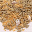 JBL Pro Terra Molluscus alimento para tortugas, , large indicador imagen numero 2