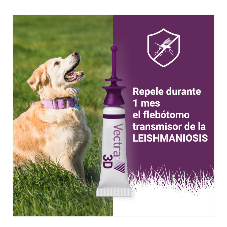 Vectra 3D Pipetas Antiparasitarias para perros thumbnail