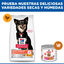 6 kg Hill's Science Plan Perfect Digestion Small y Mini Adult Pollo pienso para perros, , large indicador imagen numero 8