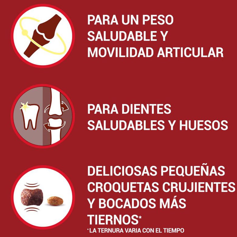 Purina One Senior 8+ Mini pienso para perros , , large image number null