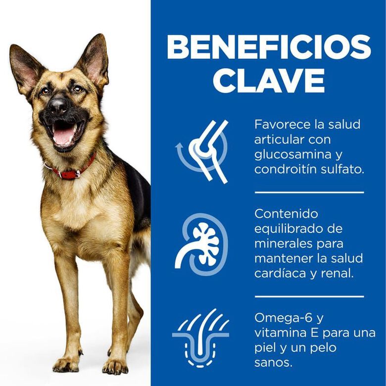 Hill&#039;s Science Plan Mature Adult Large Pollo pienso para perros thumbnail