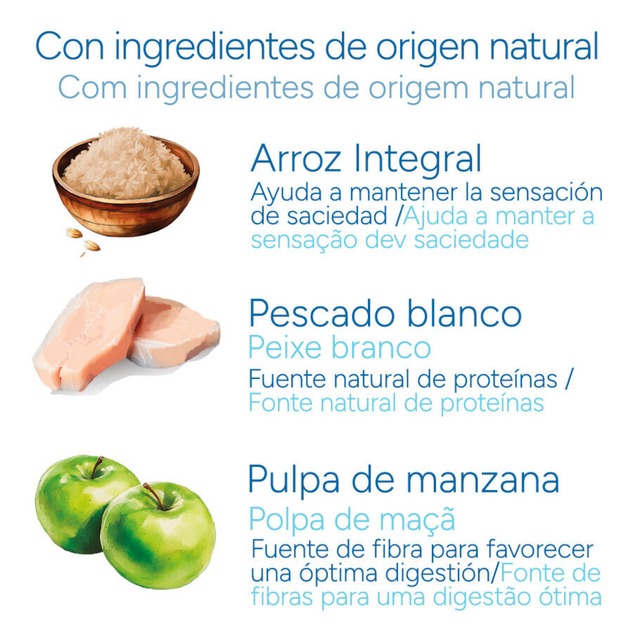 Criadores Científico Senior +12 Pescado pienso para gatos thumbnail