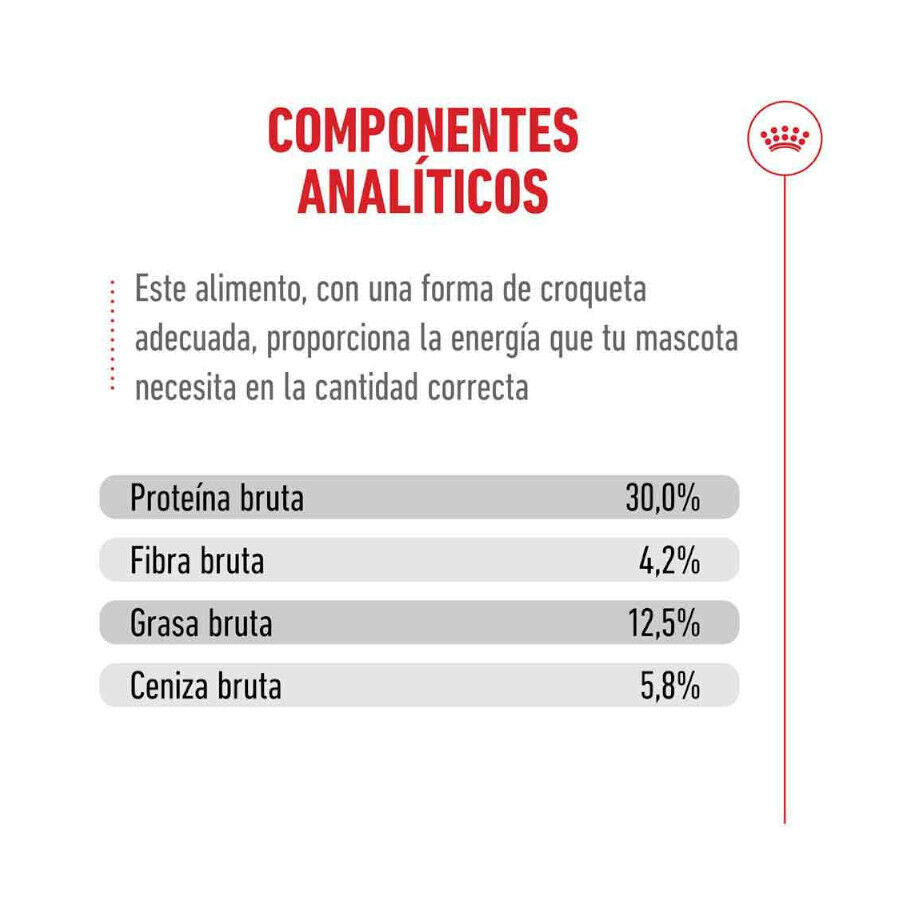 Royal Canin Ageing 11+ Sterilised pienso para gatos thumbnail