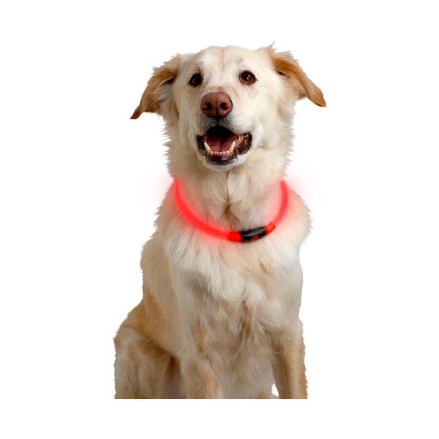 Nite Ize Nite Howl Collar Led Rojo para perros, , large Imagen numero 3