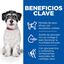 1.5 kg Hill's Science Plan Perfect Weight y Active Mobility Small y Mini Pollo pienso para perros, , large indicador imagen numero 4