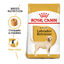 12 kg Royal Canin Adult Labrador Retriever pienso para perros, , large indicador imagen numero 2