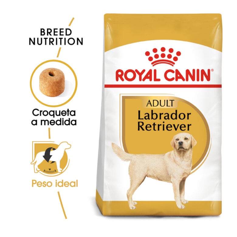 12 kg Royal Canin Adult Labrador Retriever pienso para perros,  Imagen numero 2 12 kg Royal Canin Adult Labrador Retriever pienso para perros, , large Imagen numero 2