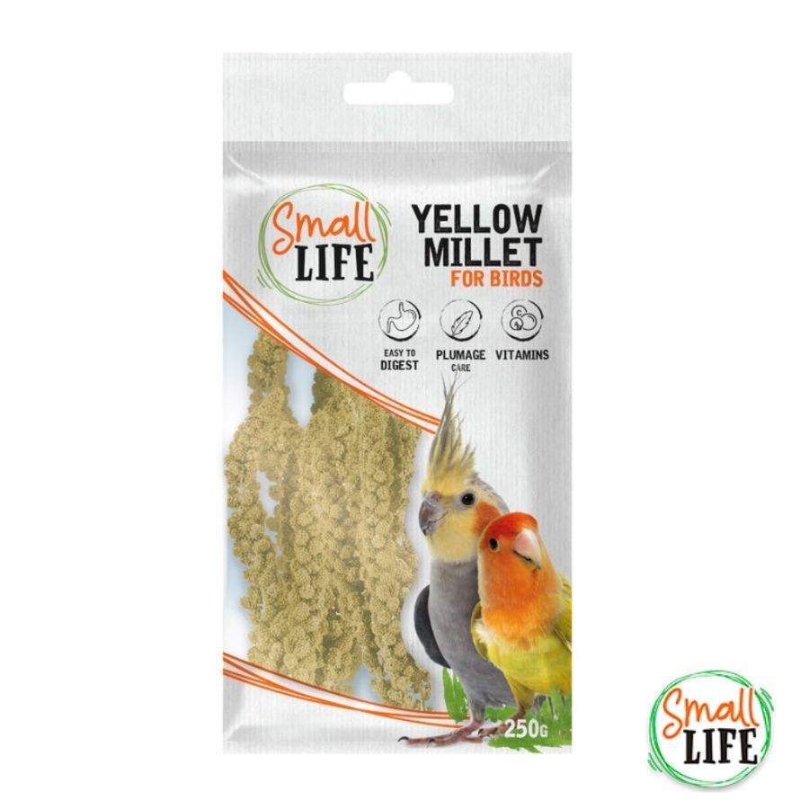 Small Life Kit de Iniciaci&oacute;n para p&aacute;jaros, , large Imagen numero 3