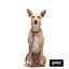 Gotoo Correa Biothane marrón para perros, , large indicador imagen numero 5