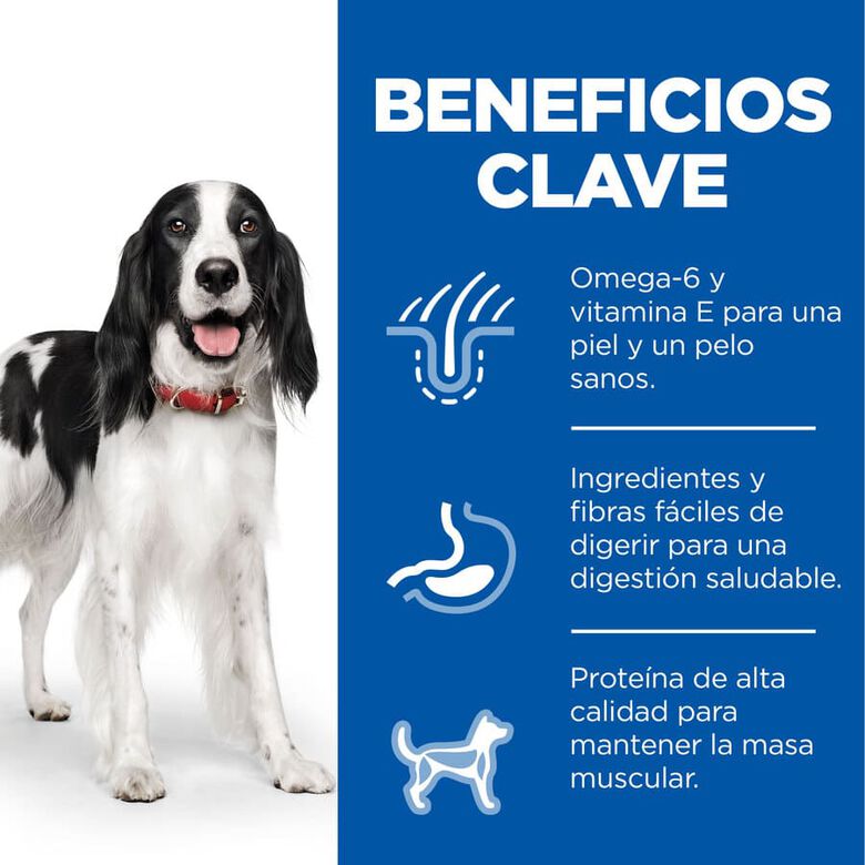 Hill&#039;s Science Plan Adult Medium Pollo pienso para perros thumbnail