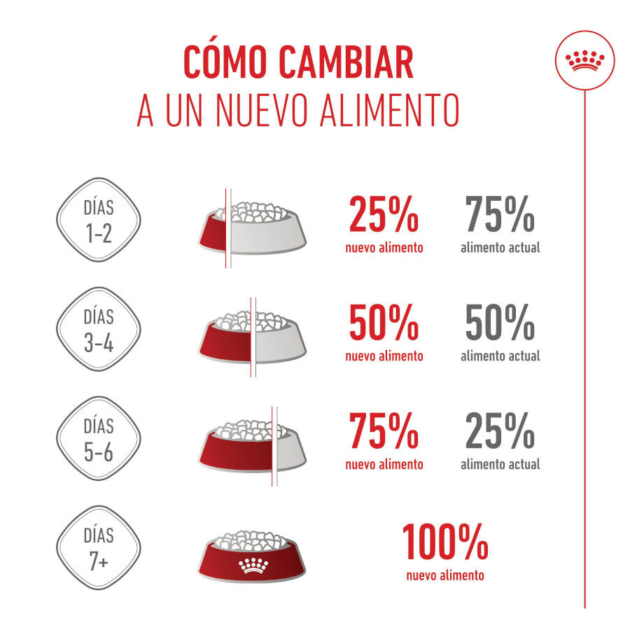 Royal Canin Mini Puppy pienso para perros thumbnail