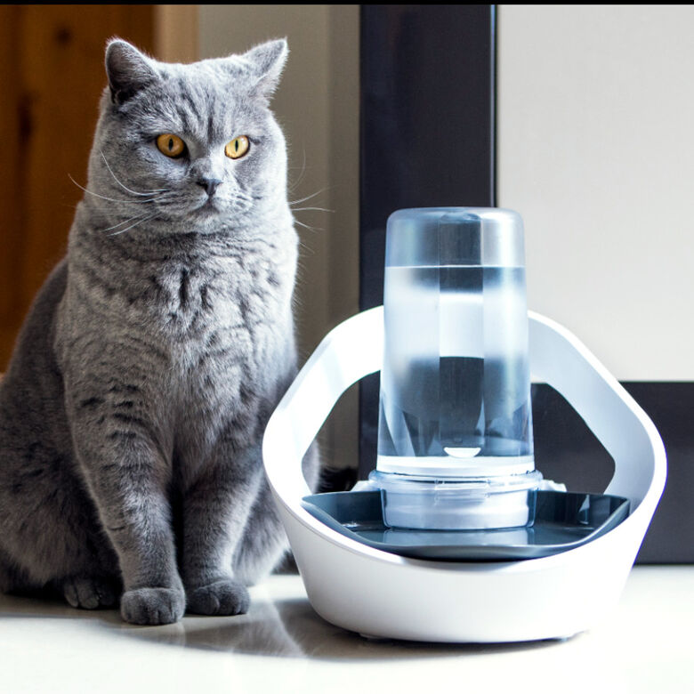 Sure Petcare Felaqua Connect Bebedero Automático para gatos thumbnail