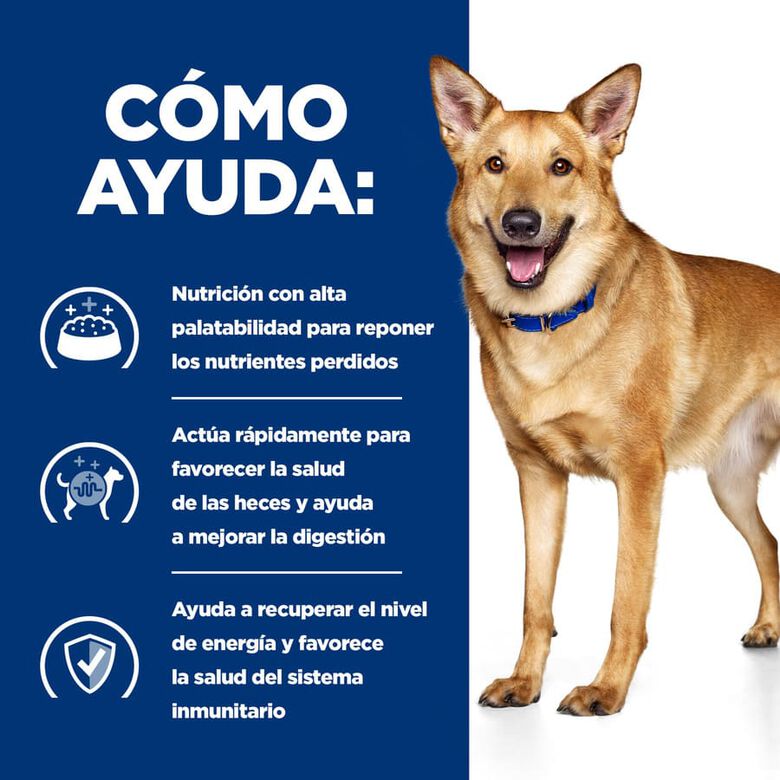 Hill&#039;s Prescription Diet Digestive Care i/d Perros Pavo lata thumbnail
