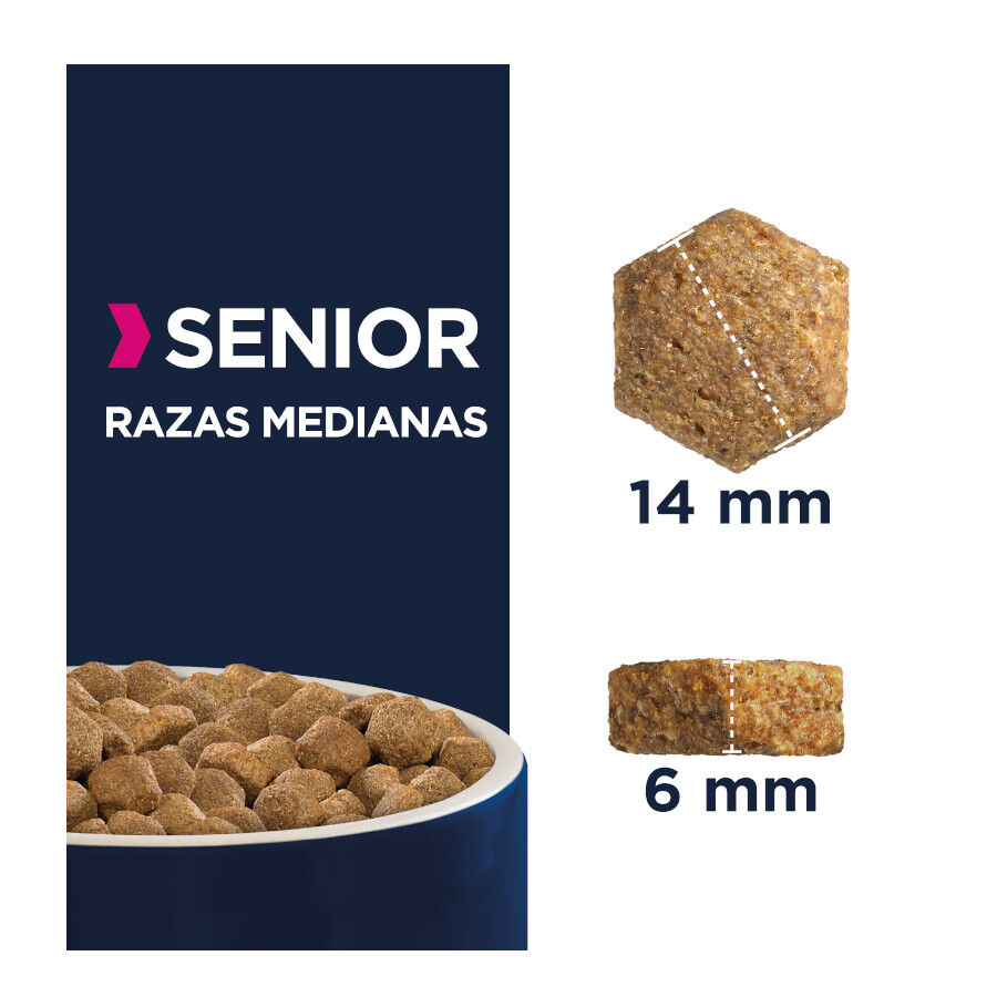 12 kg Eukanuba Senior Medium Pollo pienso para perros, , large Imagen numero 2