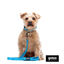 Gotoo collar de nylon reflectante azul para perros, , large indicador imagen numero 7