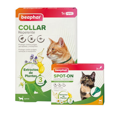 Pack Beaphar Collar y Pipetas repelentes para gatos