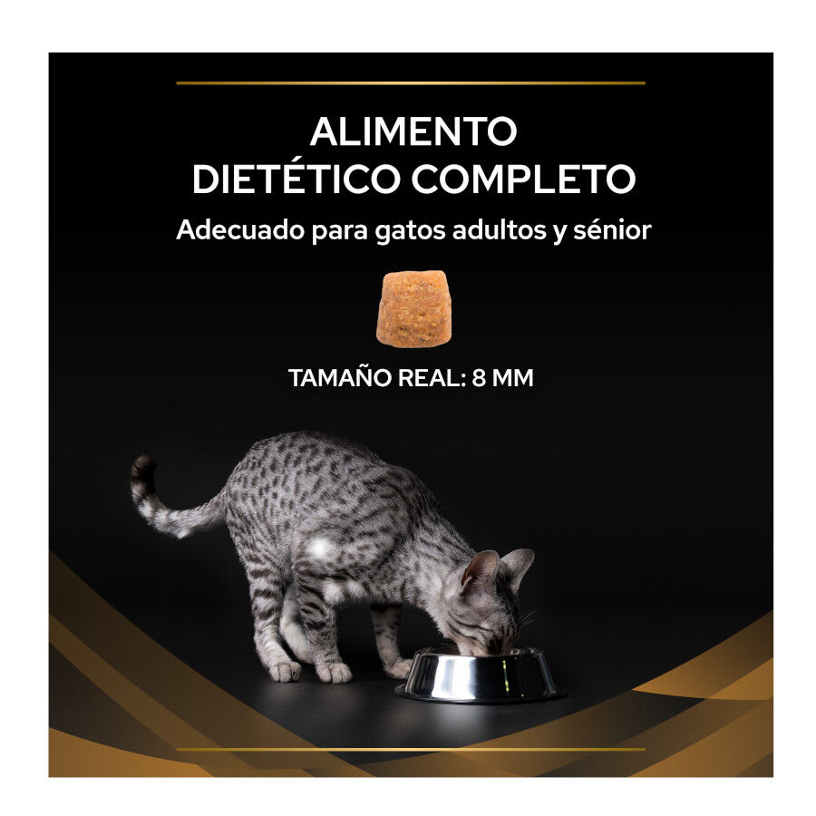 Pro Plan Veterinary Diets Renal Advanced Care pienso para gatos thumbnail