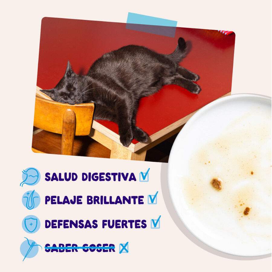 12 x 85 g Edgard & Cooper Selecci&oacute;n Captura del D&iacute;a sobre en salsa para gatos, , large Imagen numero 4