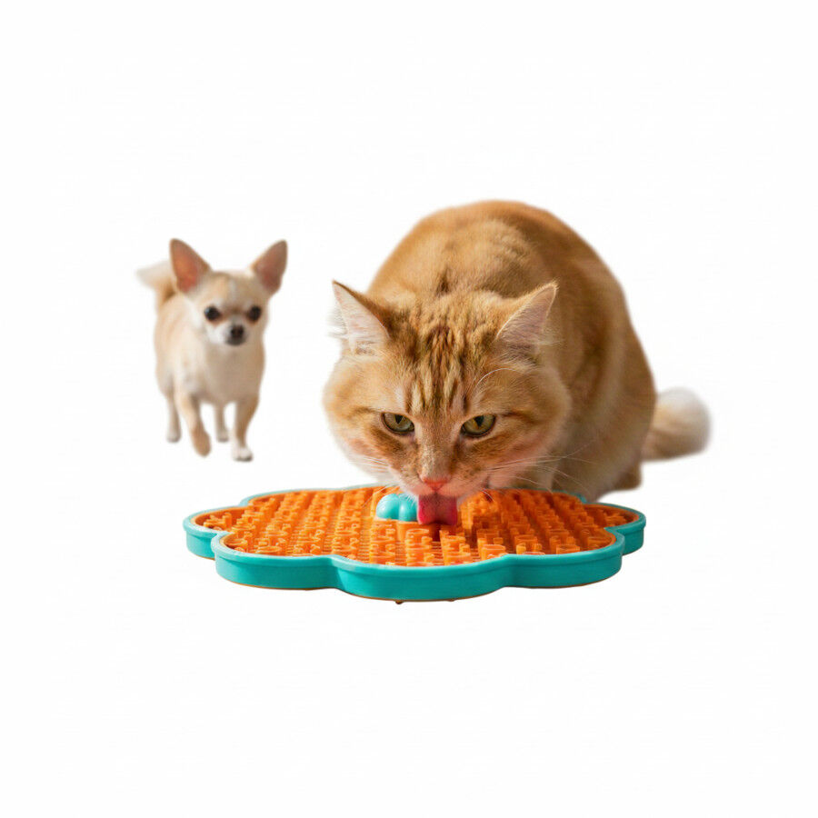 All For Paws Calming Pals Comedero Lamer para perros y gatos, , large Imagen numero 3