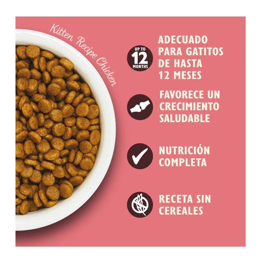800 g Lily's Kitchen Kitten Pollo pienso para gatos, , large Imagen numero 3