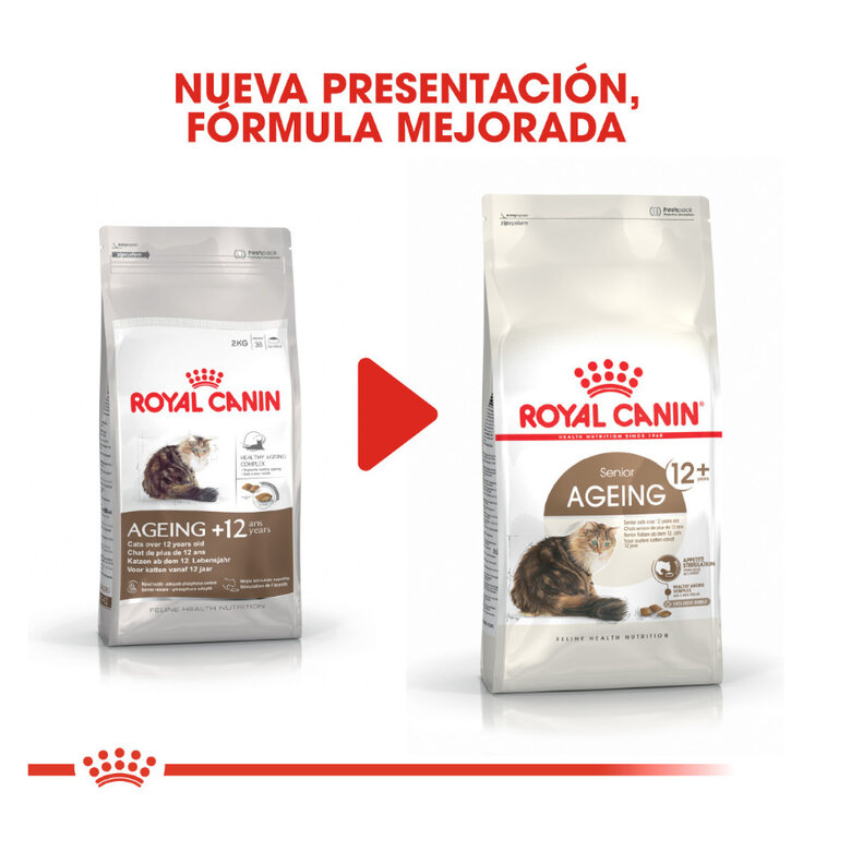 2 kg Royal Canin Ageing 12+ Sterilised pienso para gatos,  Imagen numero 3 2 kg Royal Canin Ageing 12+ Sterilised pienso para gatos, , large Imagen numero 3