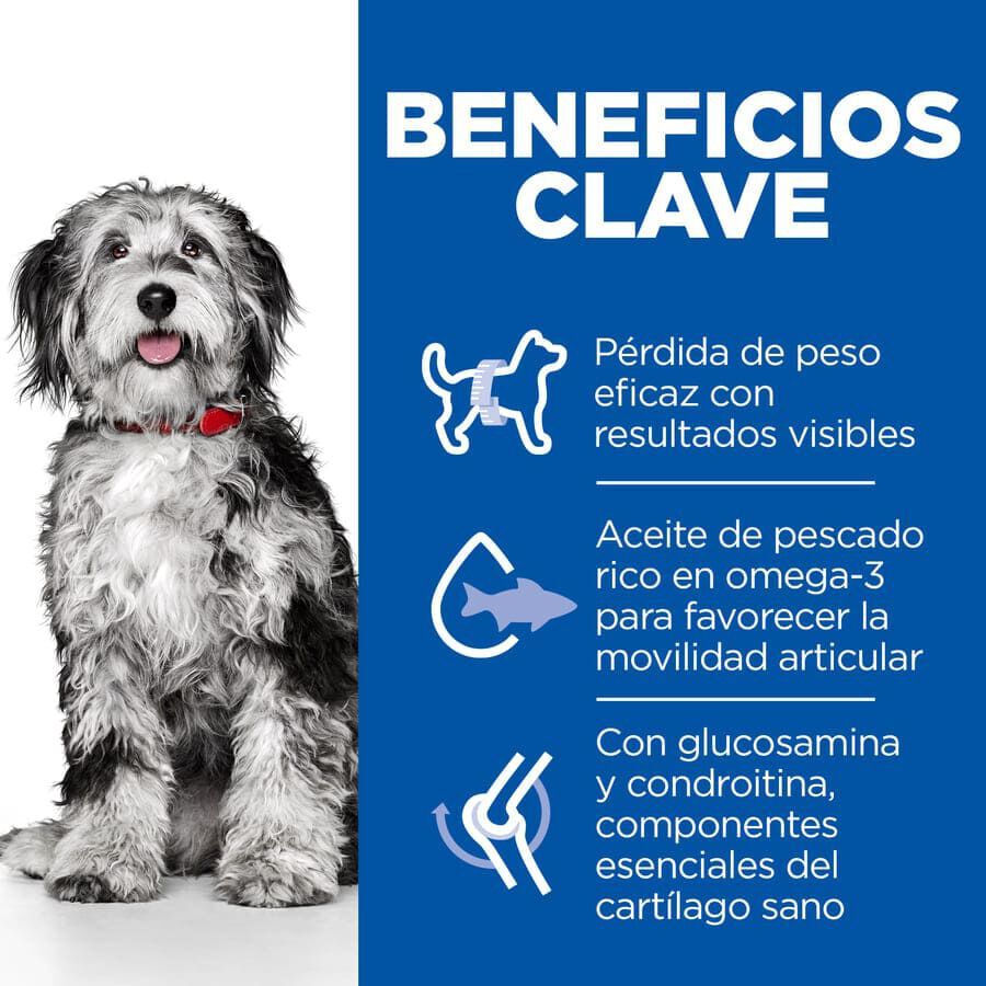 Hill&#039;s Science Plan Perfect Weight y Active Mobility pollo pienso para perros medianos thumbnail